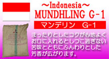 コーヒー通販・ブルボンコーヒー　マンデリンＧ-1